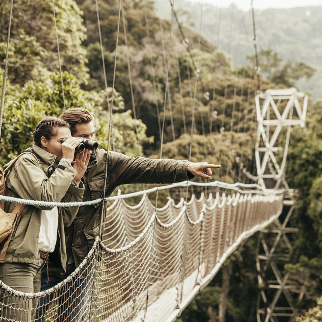 Nyungwe National Park